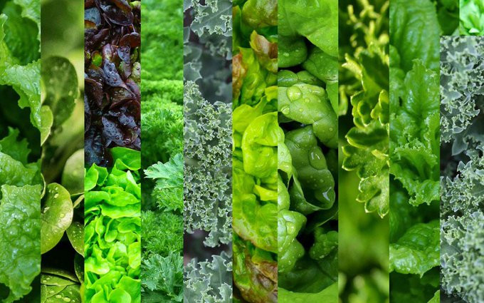 6 ways to detoxify your body from Fluorine, toxins in tap water and toothpaste Picture 5