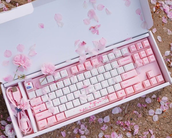 7+ A meaningful birthday gift for a tech-savvy girlfriend Picture 11