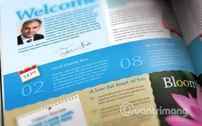 7 best websites to find InDesign Template for free Picture 2