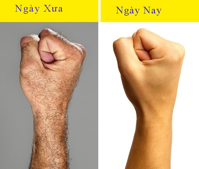 7 evidence that the human body is still evolving day by day Picture 4