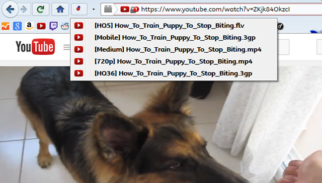7 extensions on Firefox no browser has Picture 5