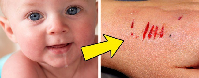 7 facts about life make you say that this world has so many miracles Picture 2