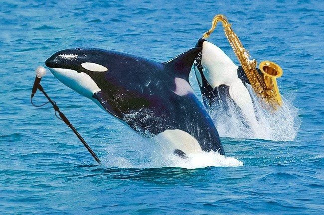 7 facts about life make you say that this world has so many miracles Picture 4