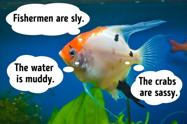 7 facts about life make you say that this world has so many miracles Picture 5