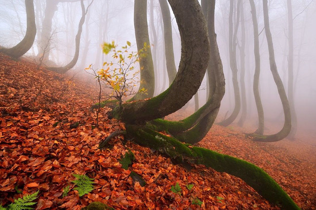 7 facts about life make you say that this world has so many miracles Picture 6