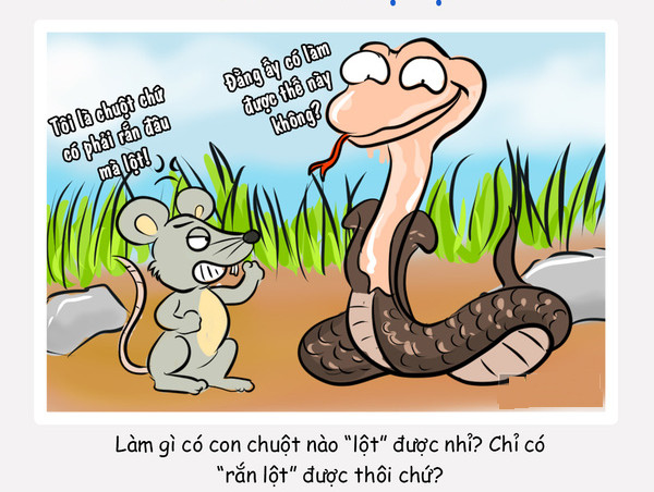 7 familiar proverbs but everyone is using it wrongly Picture 1