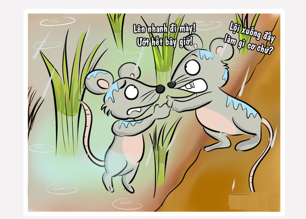 7 familiar proverbs but everyone is using it wrongly Picture 2