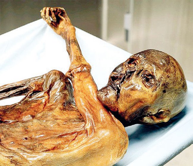 7 horrifying facts about ancient mummies Picture 7