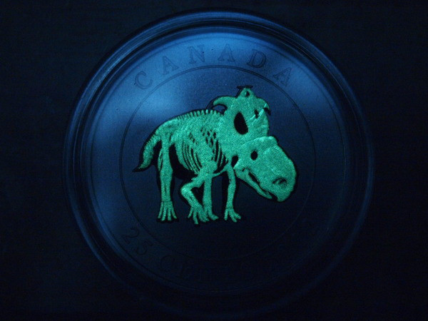 7 most exotic and interesting coins in world history Picture 8