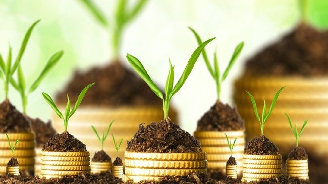 7 rules about money everyone needs to know Picture 3