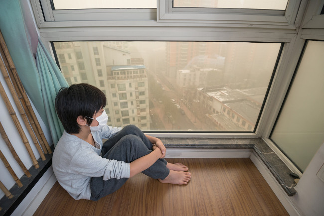 7 simple ways to reduce air pollution in your home Picture 2