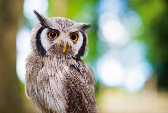 7 tricks to take better photos Picture 7