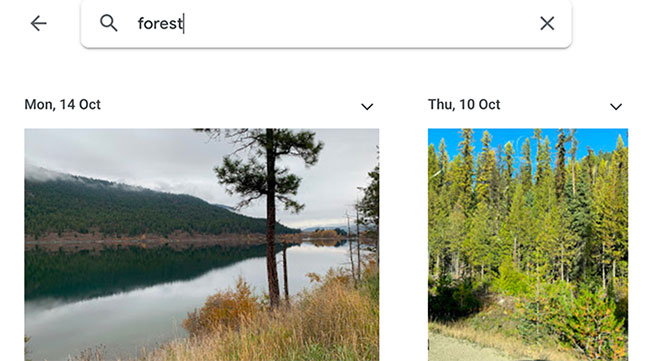8 awesome search engines hidden in Google Photos Picture 6