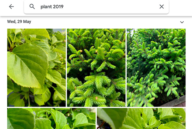 8 awesome search engines hidden in Google Photos Picture 8