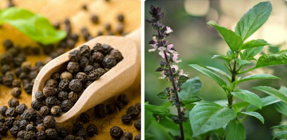 8 extremely effective toothache tips at home Picture 6