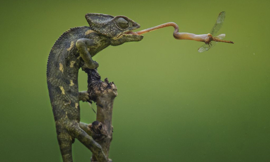 8 most beautiful nature photos of November voted by National Geographic Picture 6