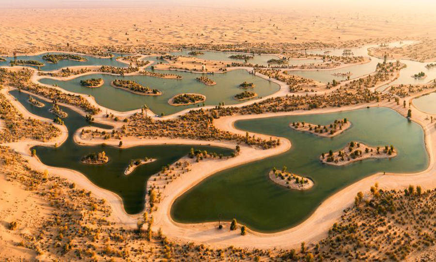 8 most beautiful nature photos of November voted by National Geographic Picture 7