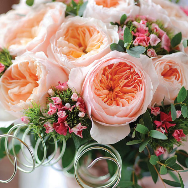 8 most expensive flowers on the planet, money is not sure to buy Picture 4