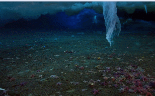 8 mysterious natural phenomena that make scientists 'crazy' Picture 2