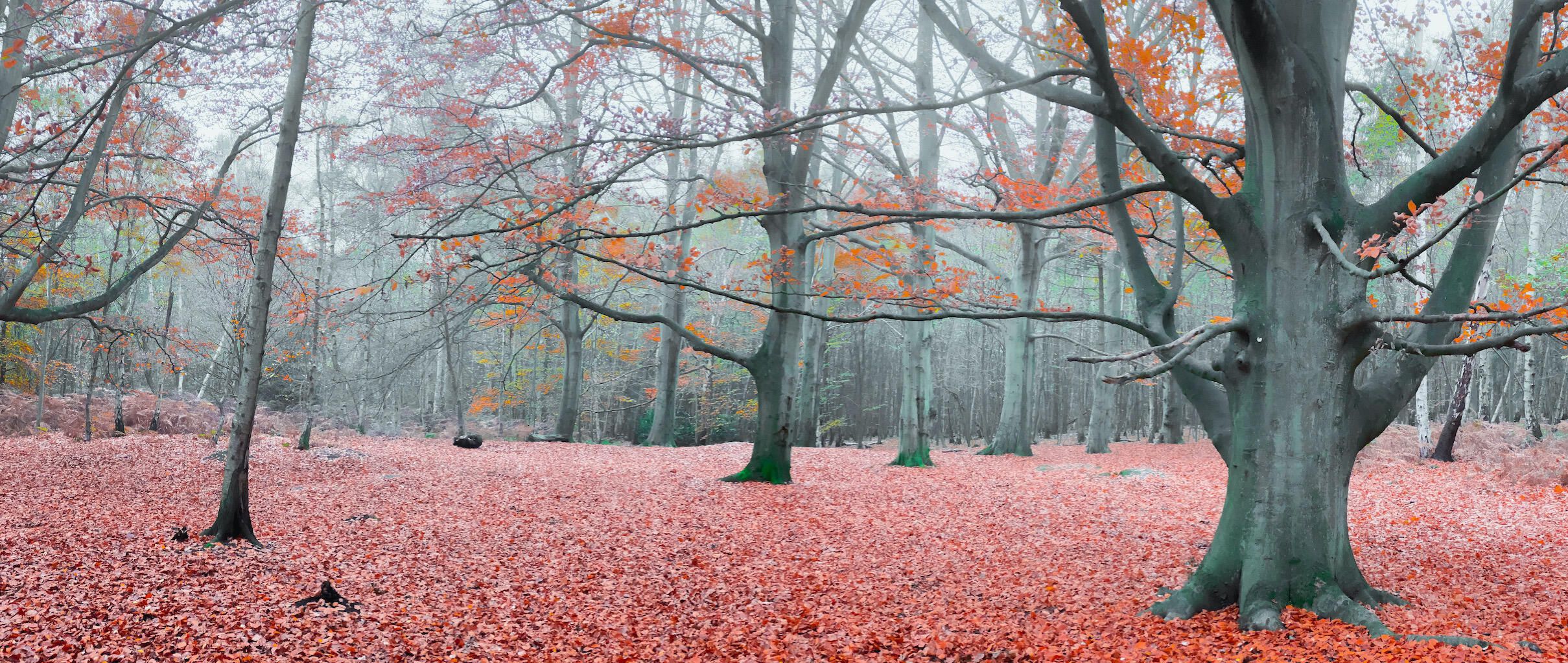 8 photo editing apps for Android or iPhone Picture 5