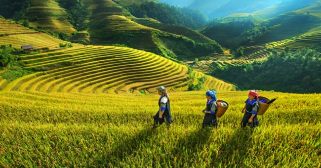 8 things not to be missed when traveling 'phượt' Ha Giang Picture 3