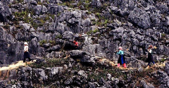 8 things not to be missed when traveling 'phượt' Ha Giang Picture 8