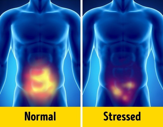 8 worrying signs that you need to rest immediately Picture 8