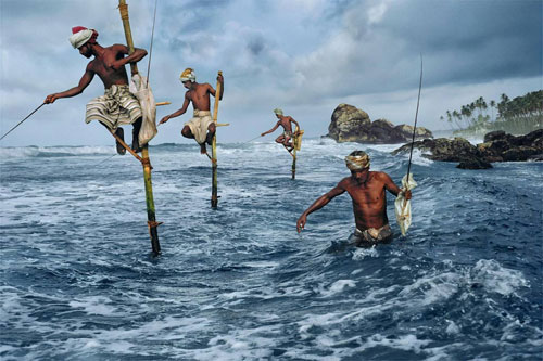 9 basic rules of composition in photography Picture 1