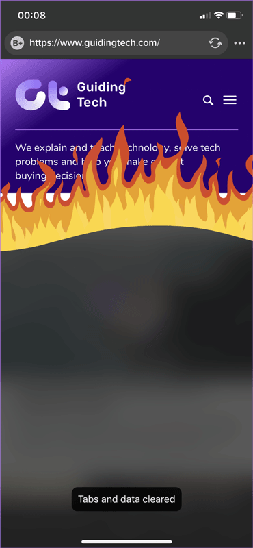 9 browsers replace Safari on iPhone Picture 10