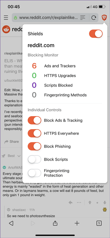 9 browsers replace Safari on iPhone Picture 16