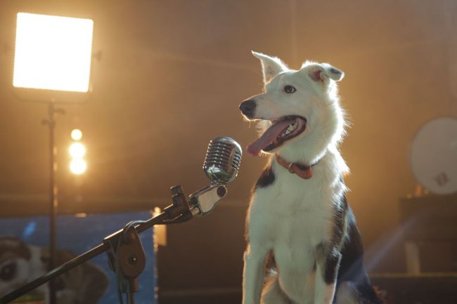 9 extremely interesting secrets about Google you may not know yet Picture 7