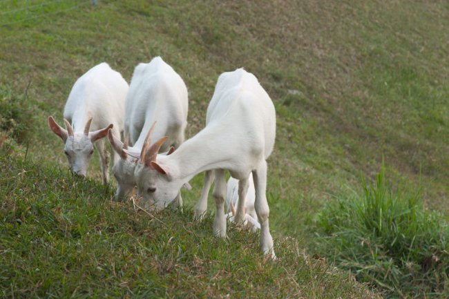 9 extremely interesting secrets about Google you may not know yet Picture 9