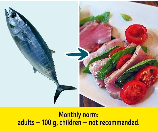 9 familiar types of fish should not eat too much if you don't want to ruin your health Picture 3
