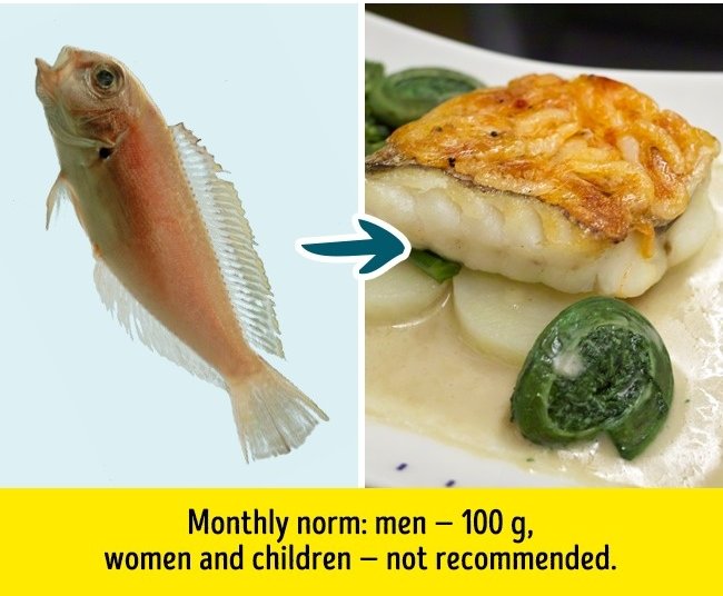 9 familiar types of fish should not eat too much if you don't want to ...