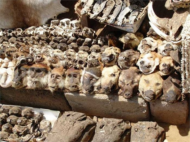 9 most scary places in the world without a shadow people live Picture 7