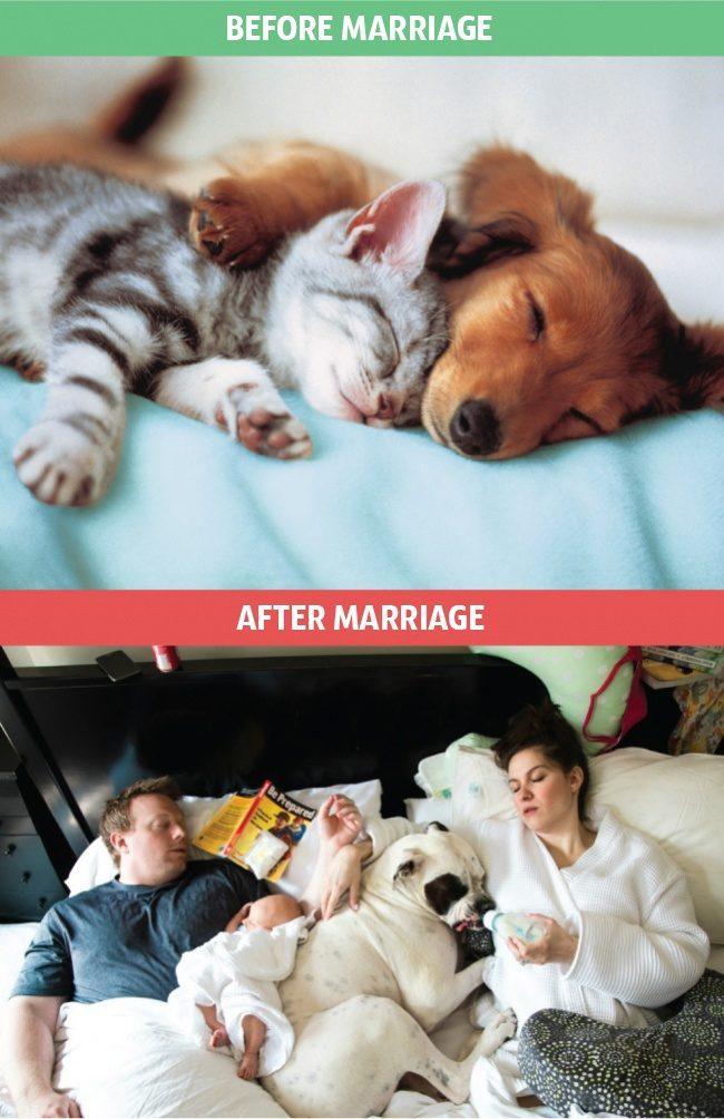 9 photos show life changing 'dizzy' after marriage Picture 4