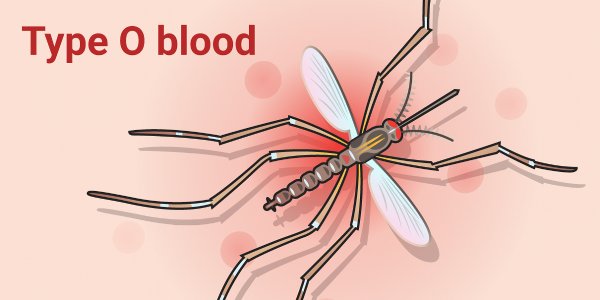 9 reasons why you get mosquito bites more than others Picture 4