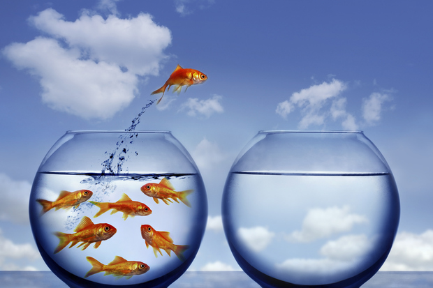 A question Steve Jobs asked himself every day Picture 5