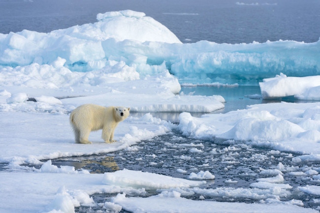 Acid in the Arctic Ocean increases rapidly with climate change Picture 1