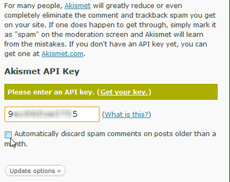 Add WordPress.com features to your blog Picture 12