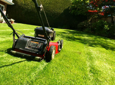 Address to buy genuine Honda, Oshima low-cost lawn mowers in Hanoi and Ho Chi Minh City. HCM Picture 1