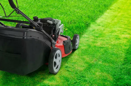 Address to buy genuine Honda, Oshima low-cost lawn mowers in Hanoi and Ho Chi Minh City. HCM Picture 3