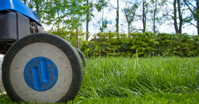 Address to buy genuine Honda, Oshima low-cost lawn mowers in Hanoi and Ho Chi Minh City. HCM Picture 4