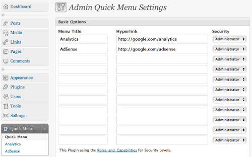 Adjust admin section of WordPress Picture 3