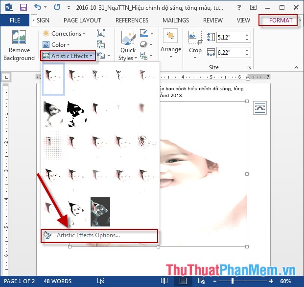Adjust brightness, tone, contrast, image compression in Word Picture 5