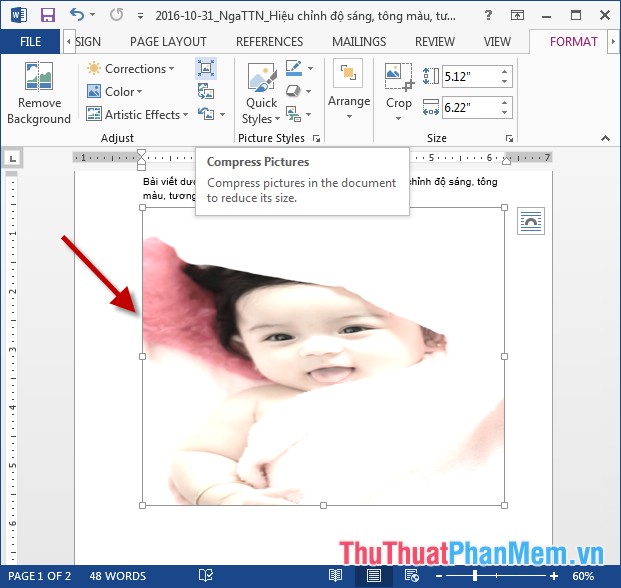 Adjust brightness, tone, contrast, image compression in Word Picture 6