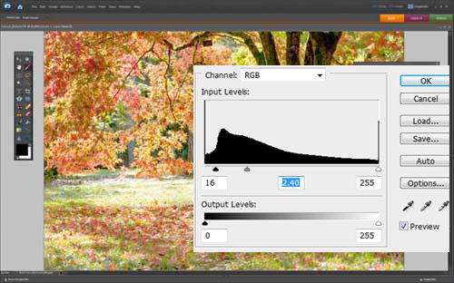 Adjust the captured image in Photoshop Picture 3
