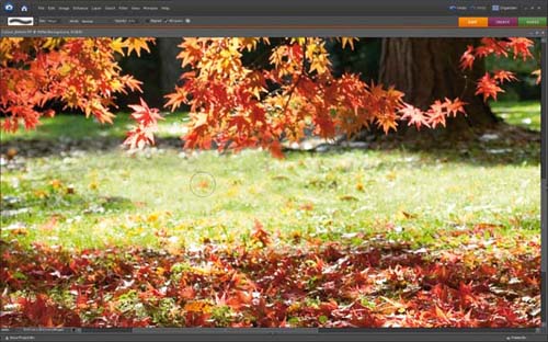 Adjust the captured image in Photoshop Picture 5