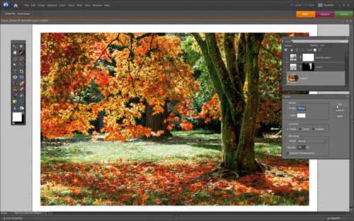 Adjust the captured image in Photoshop Picture 7