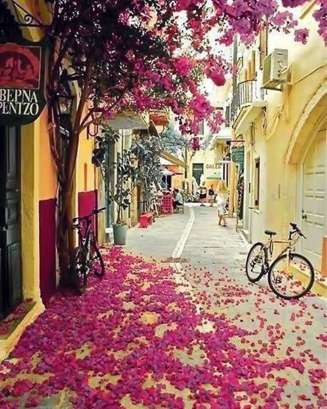 Admire the 25 most colorful streets in the world Picture 13